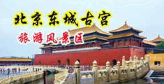 外国老女逼女人的逼中国北京-东城古宫旅游风景区